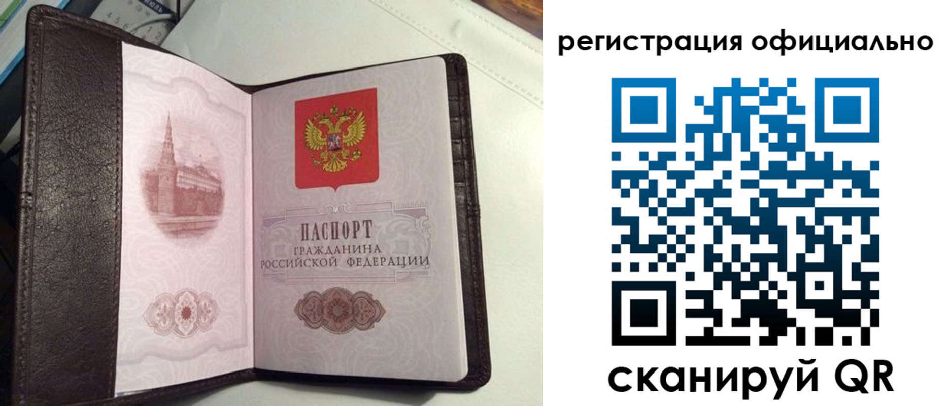 прописка ребенка в Светлом
