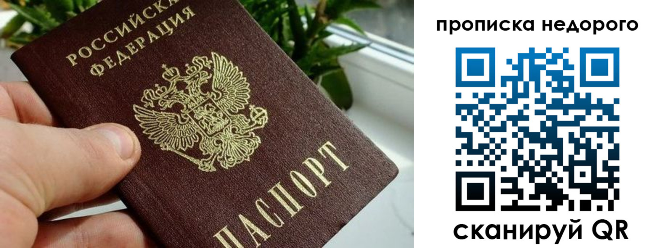 прописка для кредита в Светлом